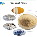 China Supplier Yeast Price Per Ton With Factory Price